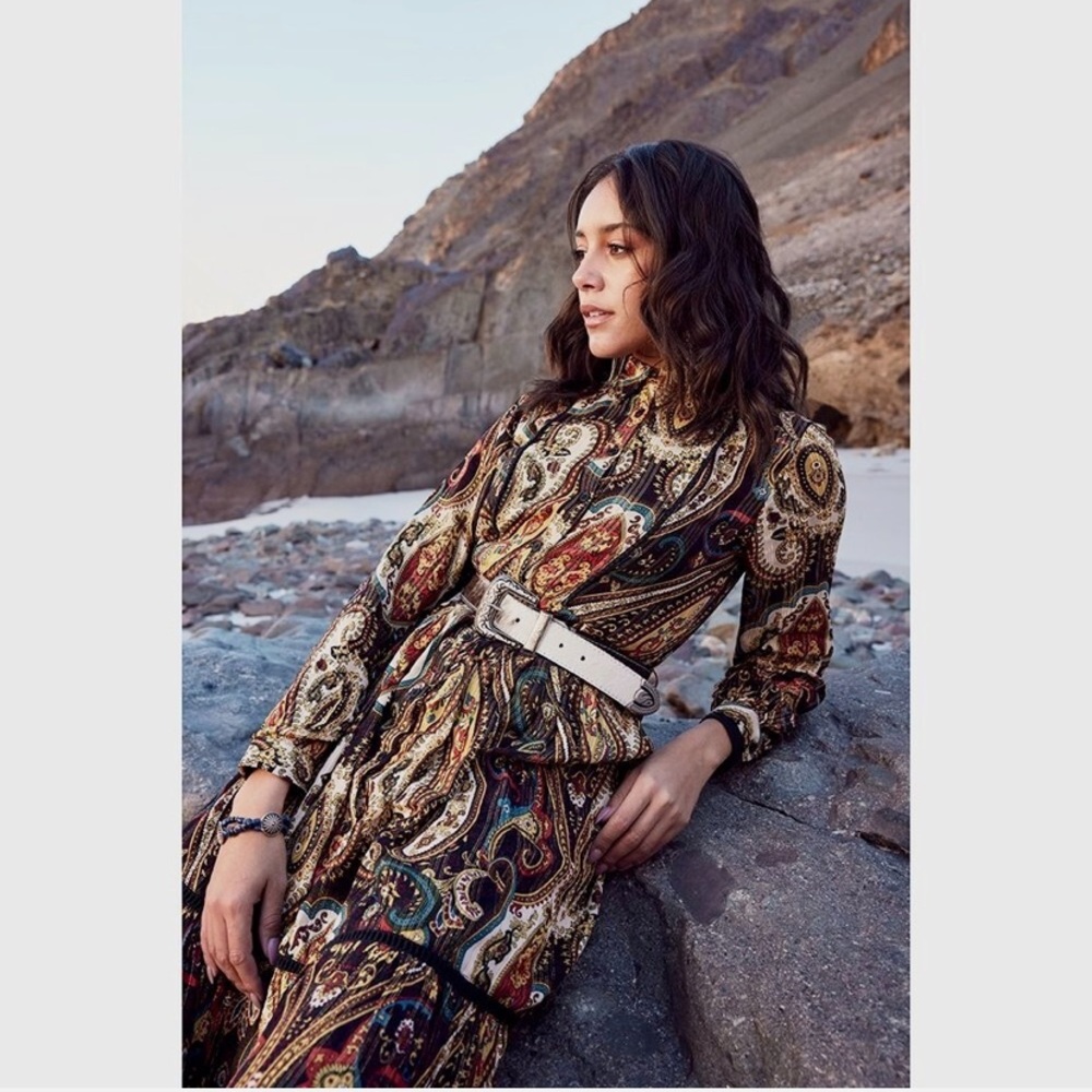 Zara Paisley Print Long Sleeve Dress NWT